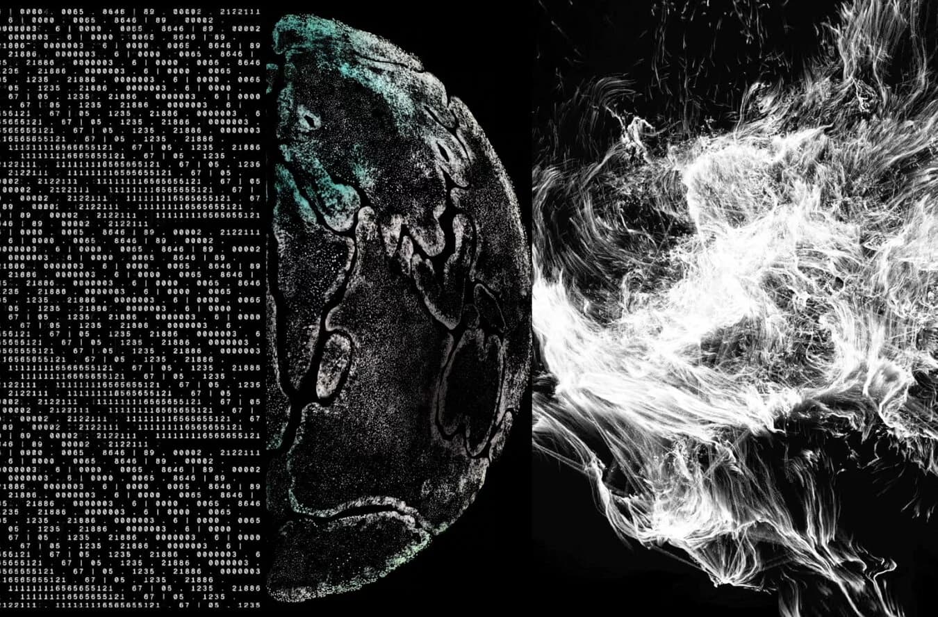 Alessandro Zannier — Global_Synapses: mostra di Time Based Media Art al