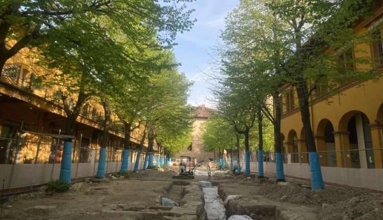 Basilica di Vitruvio a Fano: tutela dei resti e conservazione dei tigli