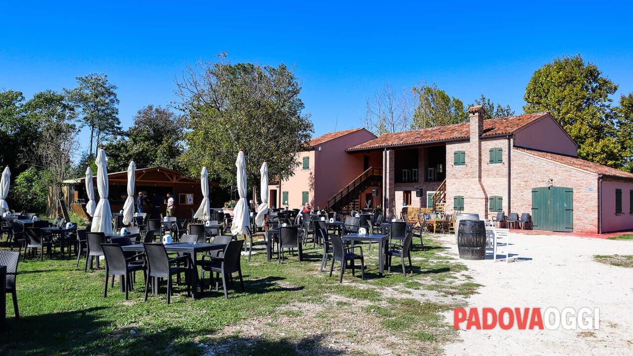 Campo dei Girasoli (Padova): fattoria didattica, laboratori creativi e