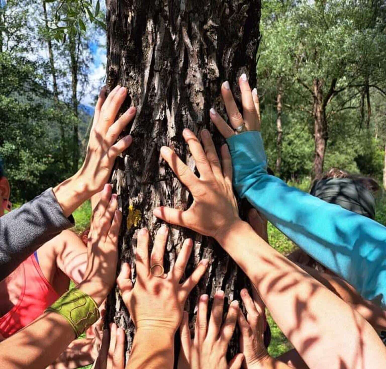 Connessioni Naturali: pomeriggio di Nature Therapy e benessere