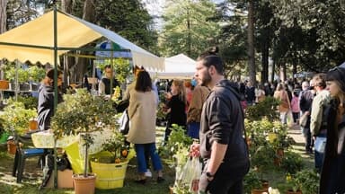 Eventi a Vicenza e provincia: cosa fare nel weekend 10-12 aprile 2026