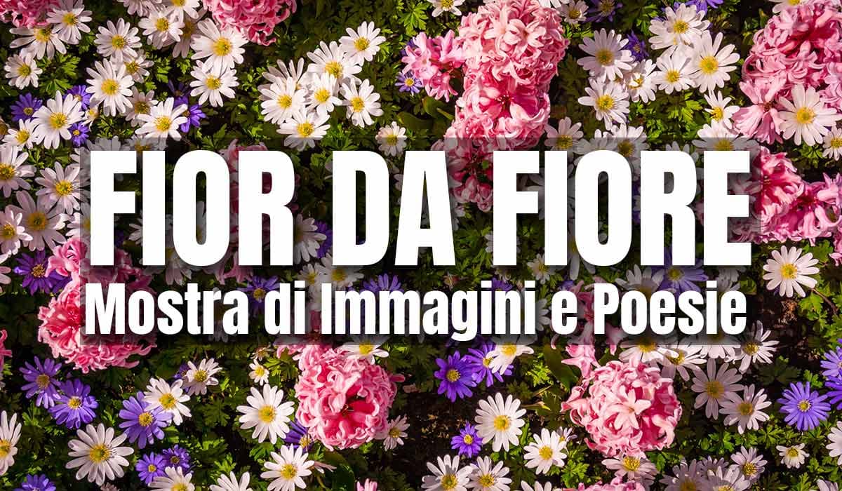 Fior da fiore: mostra di arte e poesia alla Galleria della Biblioteca
