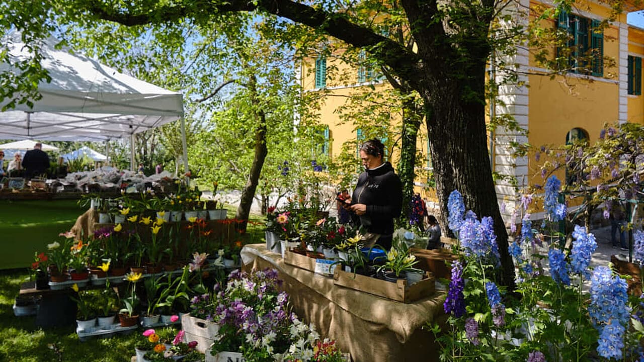 Horti Tergestini: 20 anni di fiori, piante e incontri al Parco di San