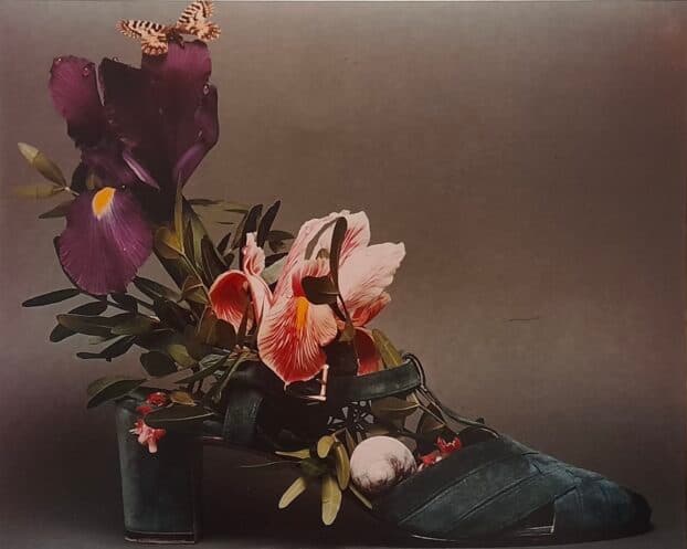 Mario Strippini: mostra fotografica alla Trattoria 4 Leoni di Firenze