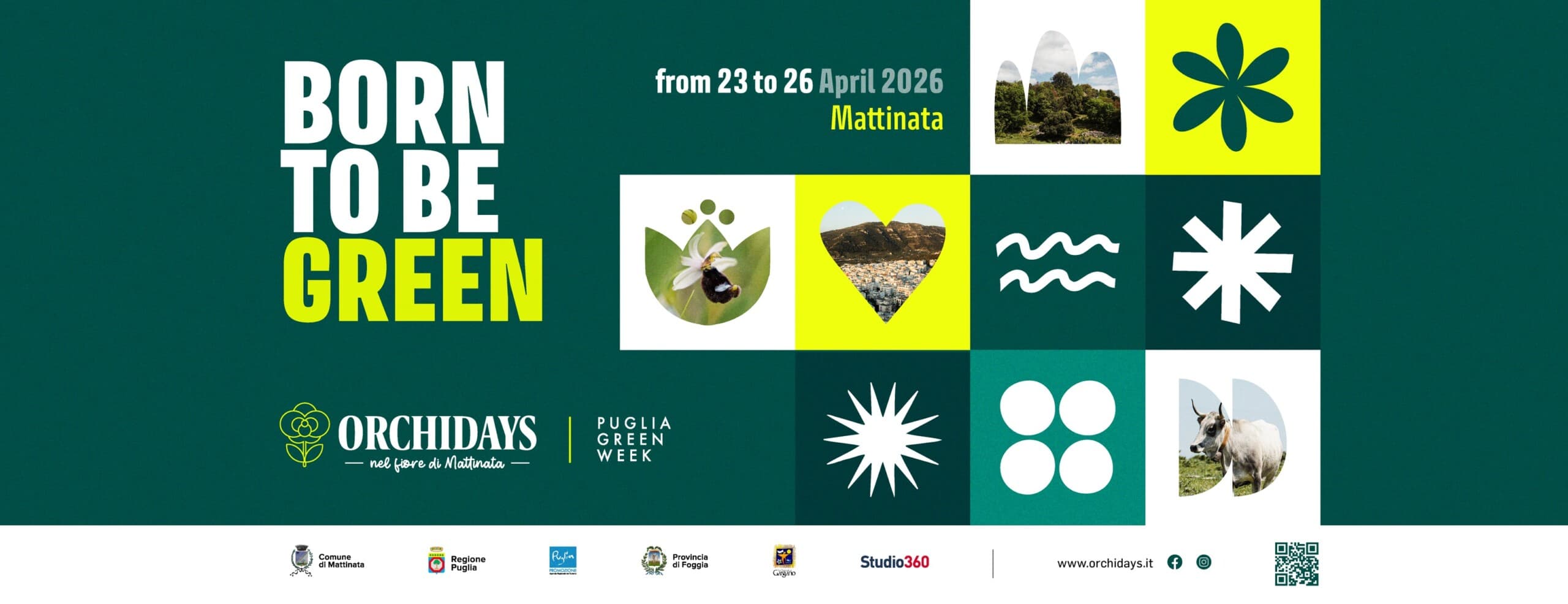 Orchidays 2026: a Mattinata il festival delle orchidee spontanee (23-26