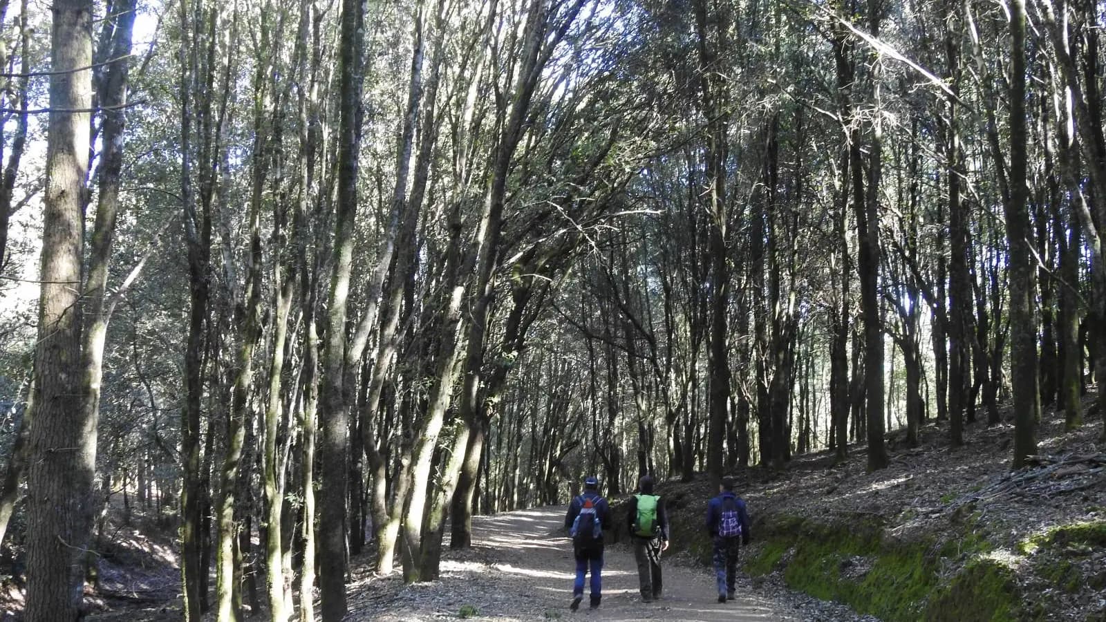 Primavera al Parco di Gutturu Mannu: escursioni, natura e appuntamenti