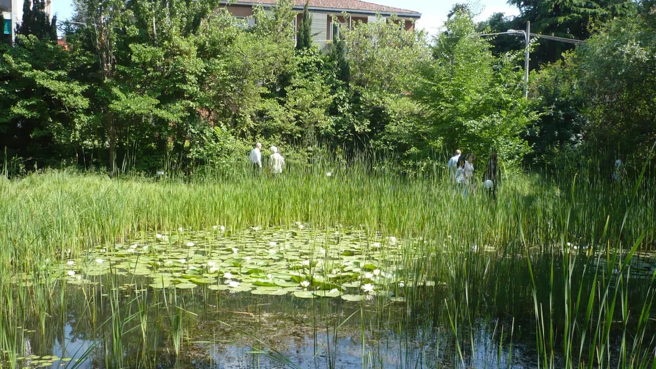 Primavera delle Oasi WWF in Emilia‑Romagna: il calendario degli eventi