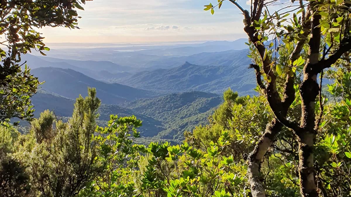Primavera nel Parco di Gutturu Mannu: escursioni, arte e scoperta