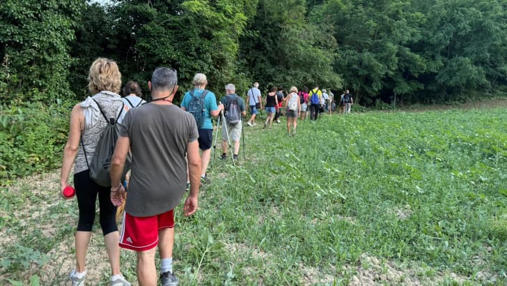 Tavullia: domenica 19 aprile trekking tra sentieri e borghi — natura e