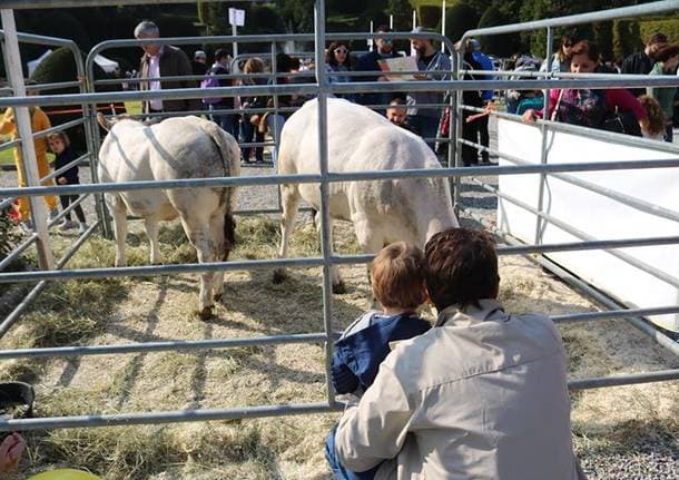 Weekend in famiglia (10-12 aprile) a Varese e dintorni: eventi